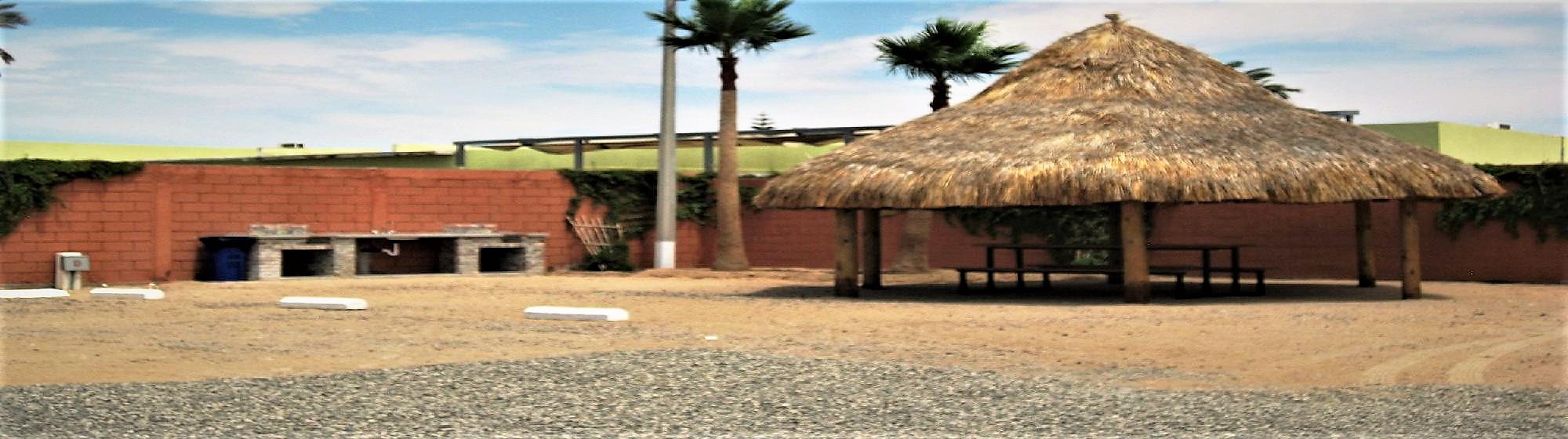 Palapa